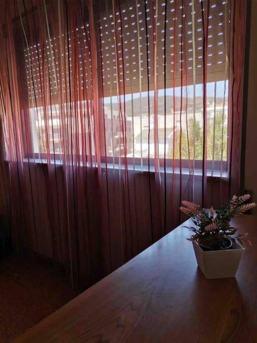 Cardoso House Vpa Lägenhet Vila Praia de Âncora Exteriör bild